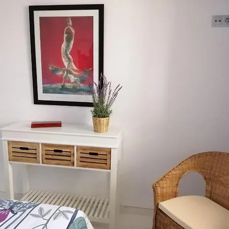 Apartamento 315 En Paseo Marítimo 96